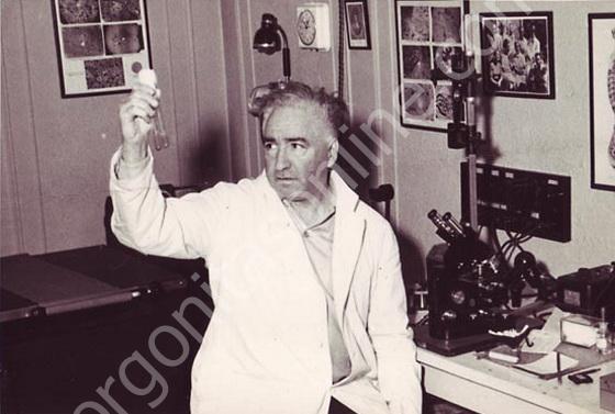 El orgón afectado de frecuencias electromagnéticas, microondas,.. se estanca causando enfermedad y daño ambiental. Wilhelm Reich.