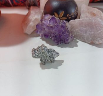 Orgonita Dinosaurio Pequeño 8 gr. Mod. 2