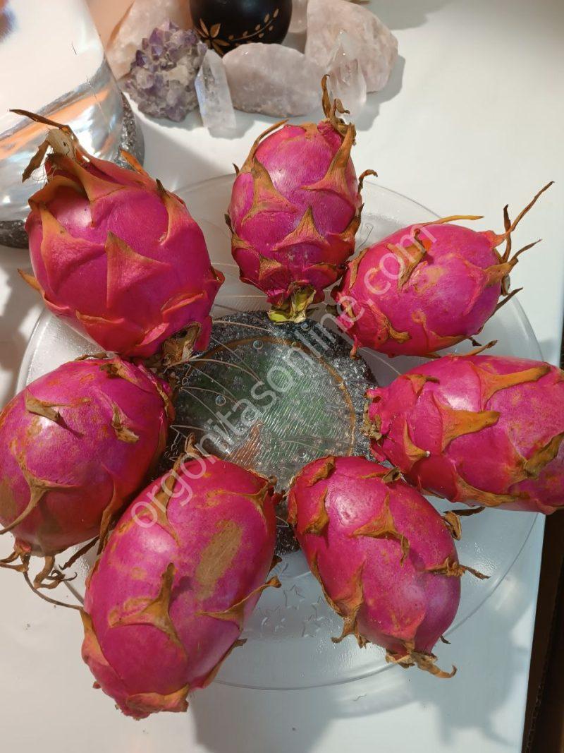 Disco Revitalizador de Líquidos y Alimentos. - Imagen 11