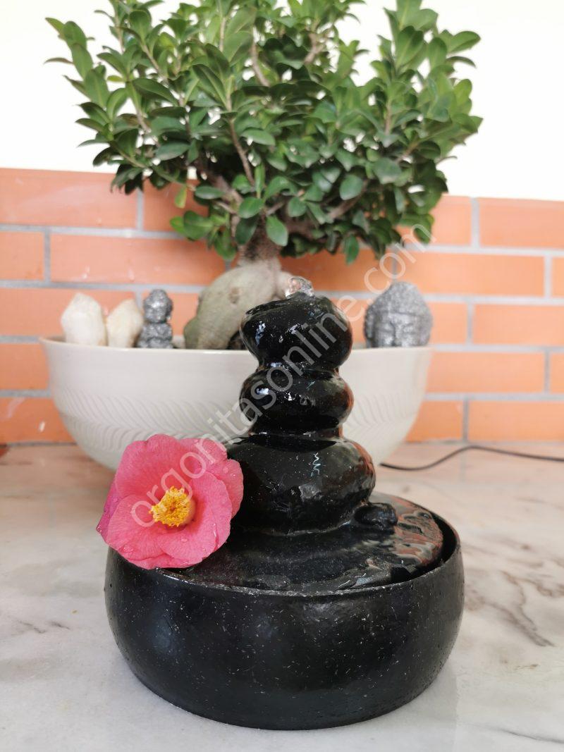 Fuente de Agua Protección 5G·6G - Imagen 2