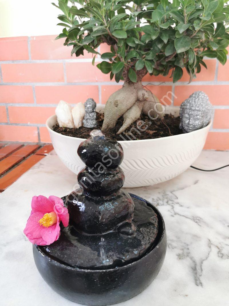 Fuente de Agua Protección 5G·6G - Imagen 3