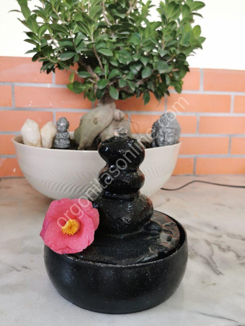 Fuente de Agua Protección 5G·6G - Imagen 4