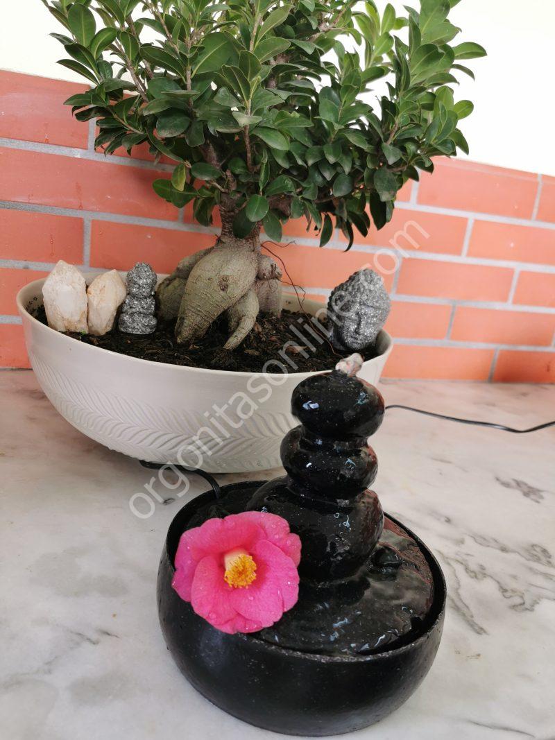 Fuente de Agua Protección 5G·6G - Imagen 5