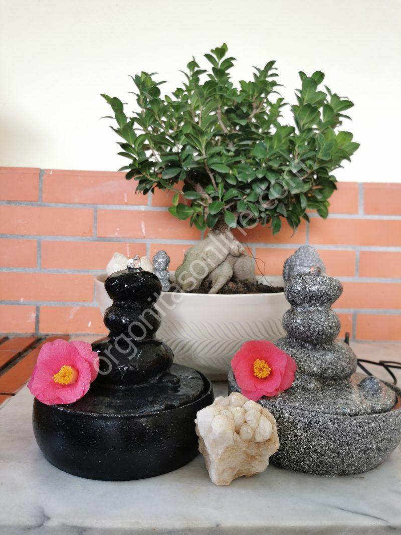 Fuente de Agua Protección 5G·6G - Imagen 6