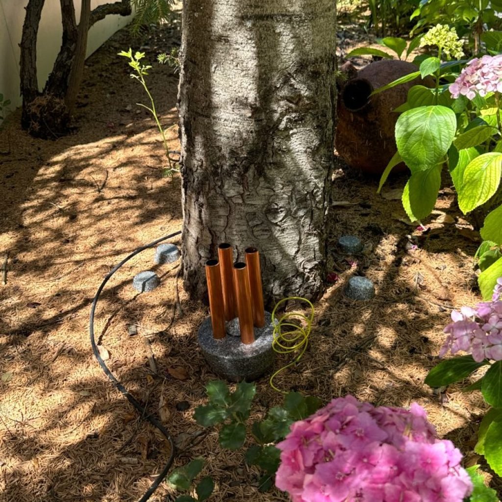 Imagen #1 de Begoña